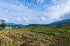 國家臨時(shí)用地補(bǔ)償標(biāo)準(zhǔn)是什么?